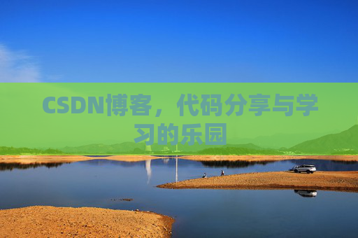 CSDN博客，代码分享与学习的乐园